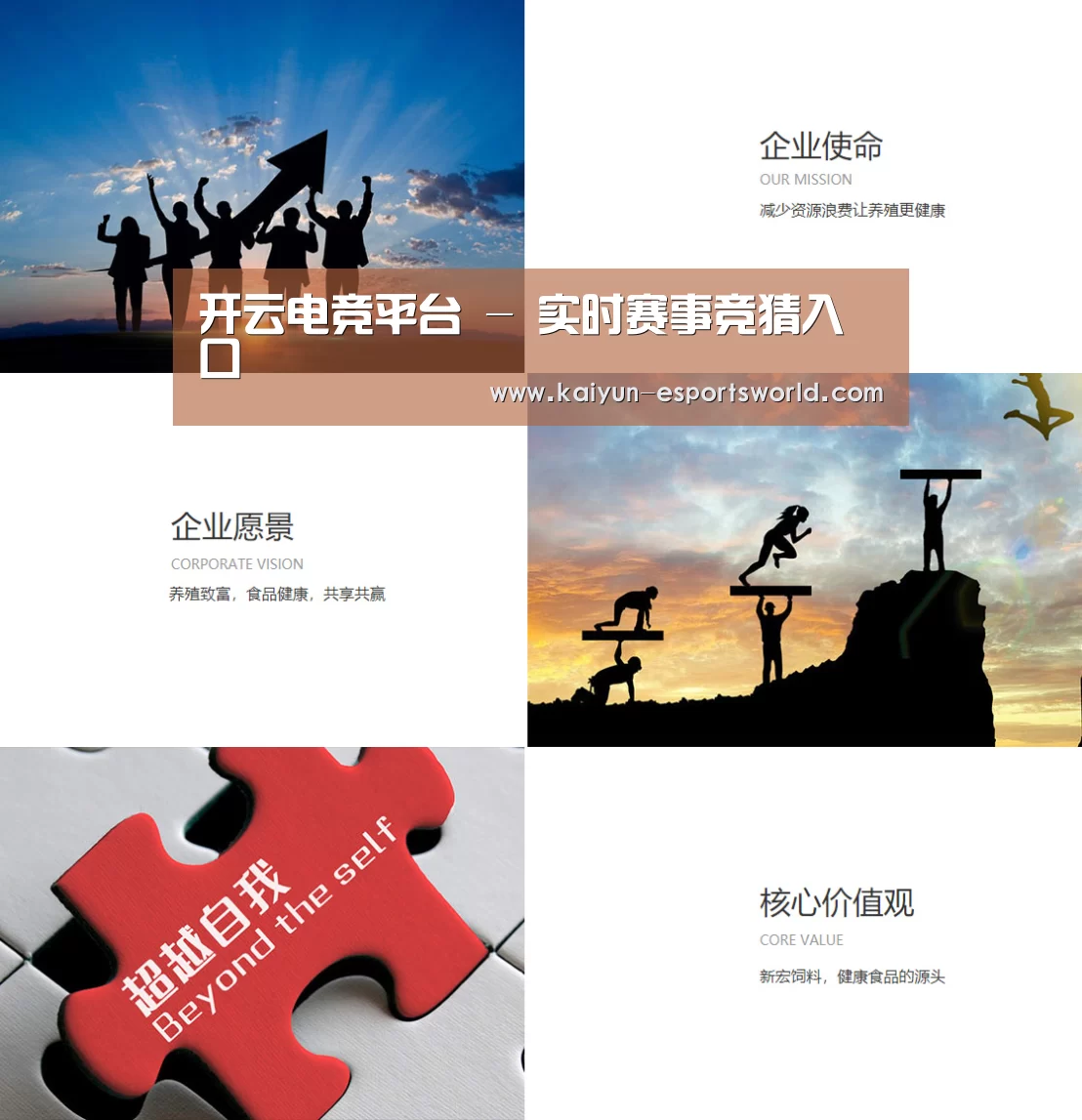 企业文化(图1)